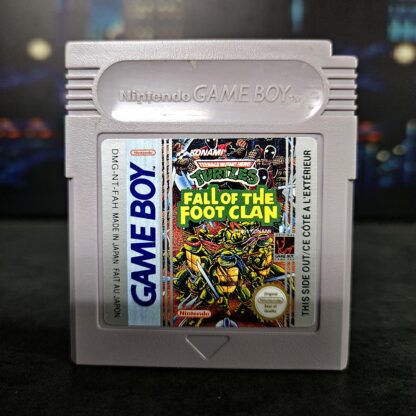 Turtles Fall of the foot clan