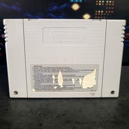 Fatal Fury Special – Image 2