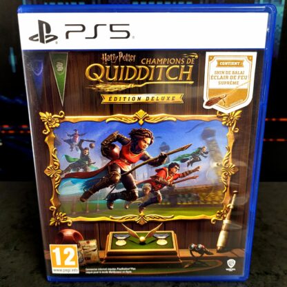 Harry Potter Quidditch